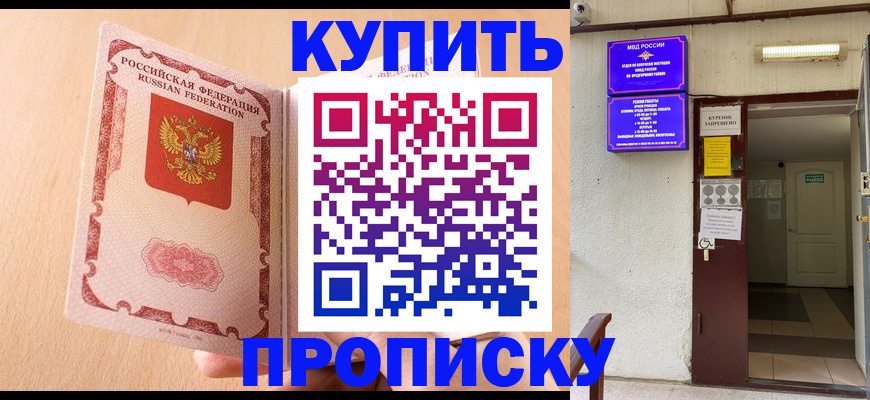 прописка регистрация в Курчалом