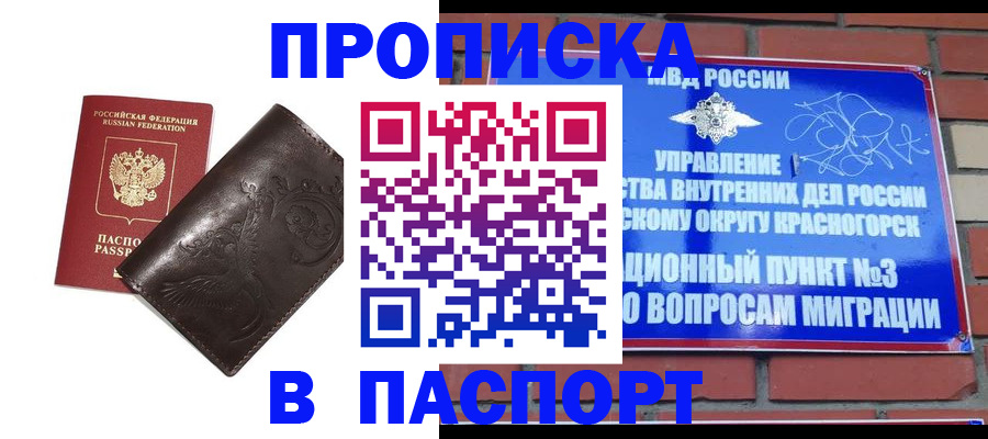 миграционный учет в Курчалом